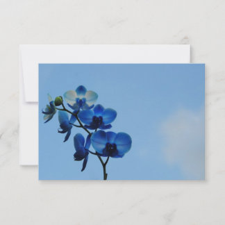 Carte Orchidée bleue
