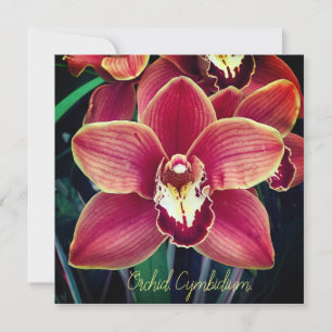 Carte Orchidée. Cymbidium