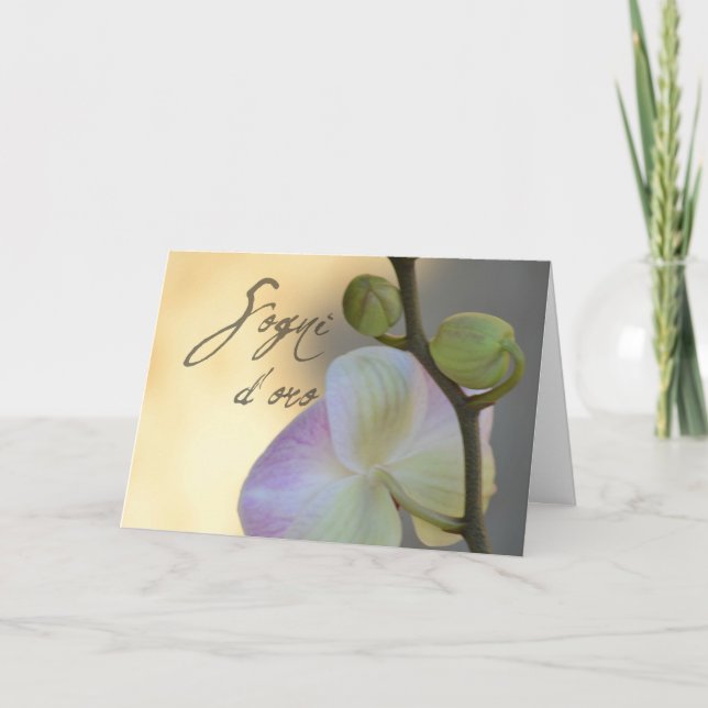 Carte Orchidée de Sogni d'oro (Devant)
