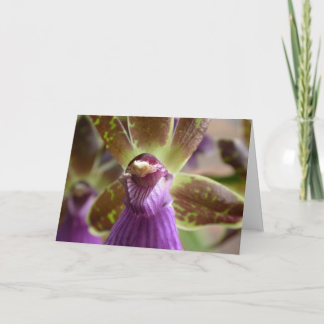 Carte Orchidée de Zygopetalum (Devant)