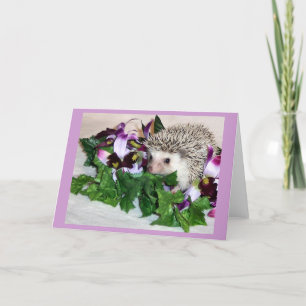 Carte Orchidée le hérisson