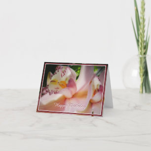 Carte Orchidée logicielle PInk