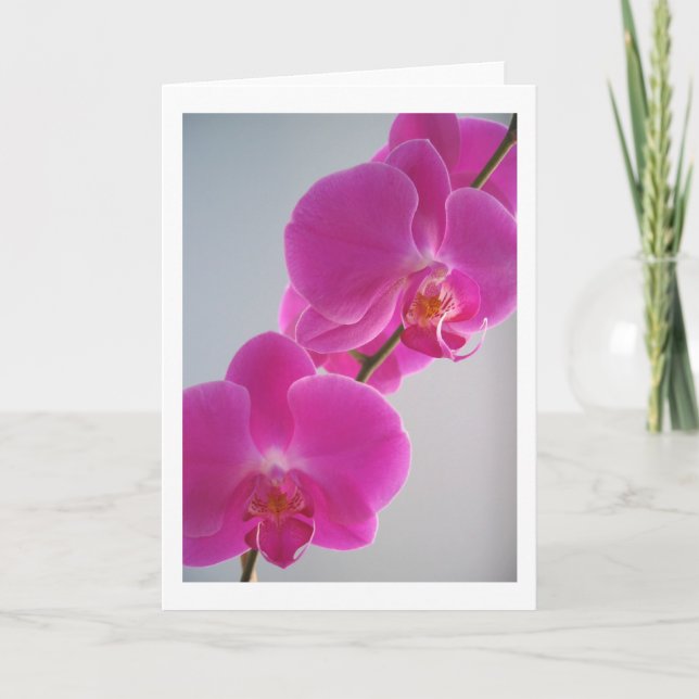 Carte Orchidée rose (Devant)