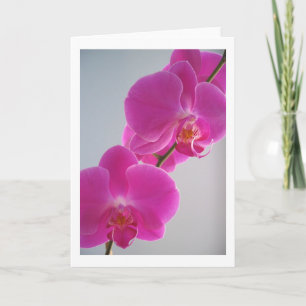 Carte Orchidée rose