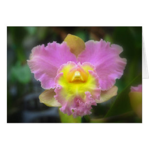 Carte orchidée rose Cattleya