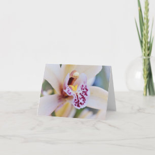 Carte Orchidée rose crème du jardin Gertie's