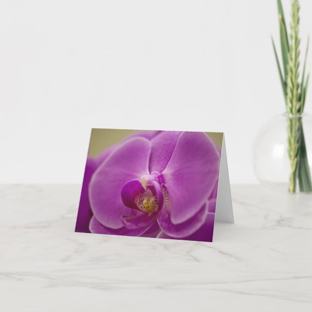 Carte Orchidée violette (Devant)