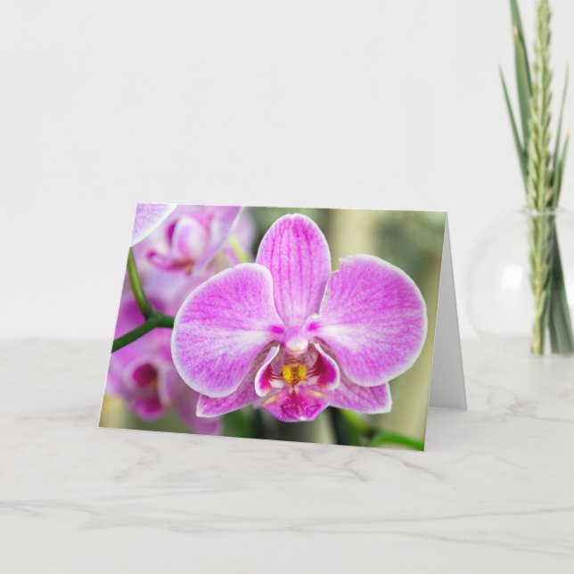 Carte Orchidée violette dit Hi (Devant)