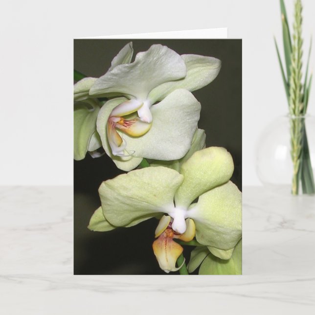 Carte Orchidées (Devant)
