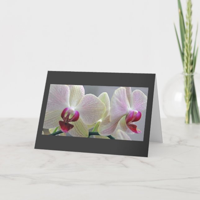 Carte Orchidées #2 (Devant)