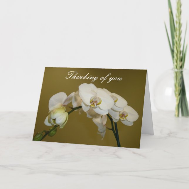 Carte Orchidées blanches (Devant)