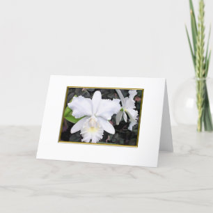 Carte Orchidées blanches croquantes en blanc louche de