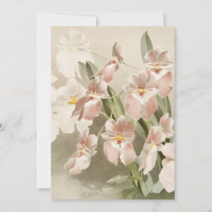 Carte Orchidées blanches Fleur Illustration ancienne vin