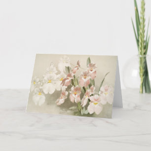 Carte Orchidées blanches Fleur Vintage vieille illustrat