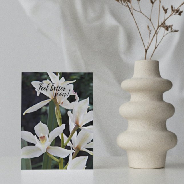Carte Orchidées Blanches Floral Se Bien (In Situ)