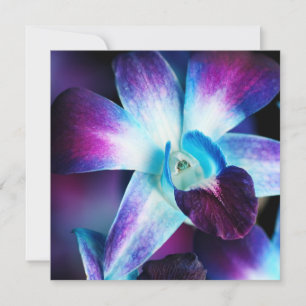 Carte Orchidées Customisées à l'orchidée pourpre et bleu