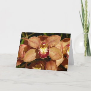 Carte Orchidées de Pêche avec Raindrops Floral