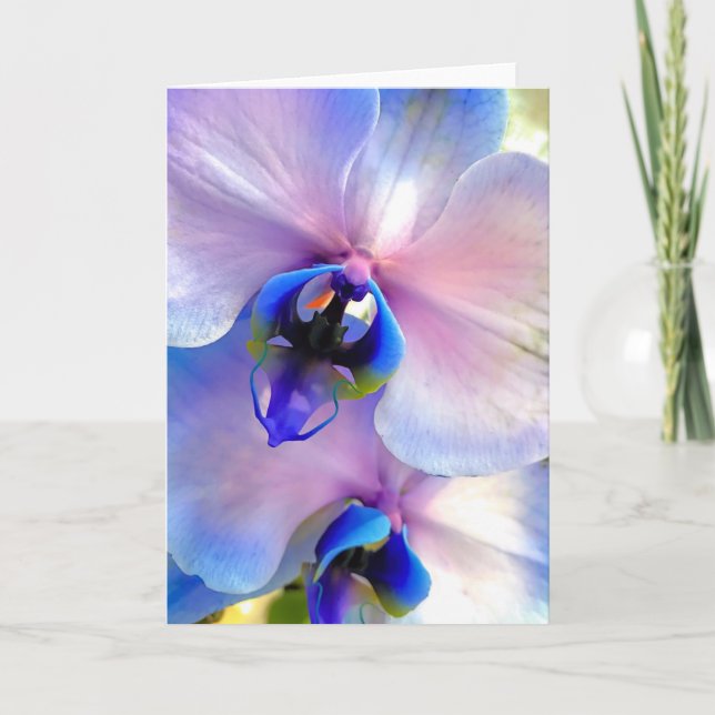 Carte Orchidées fondues en couleur (Devant)