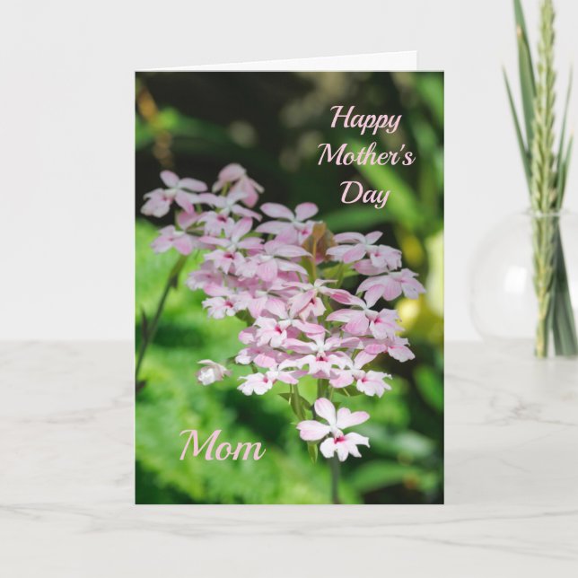 Carte Orchidées pour la fête des mères (Devant)