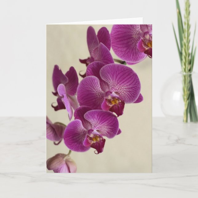 Carte Orchidées roses (Devant)
