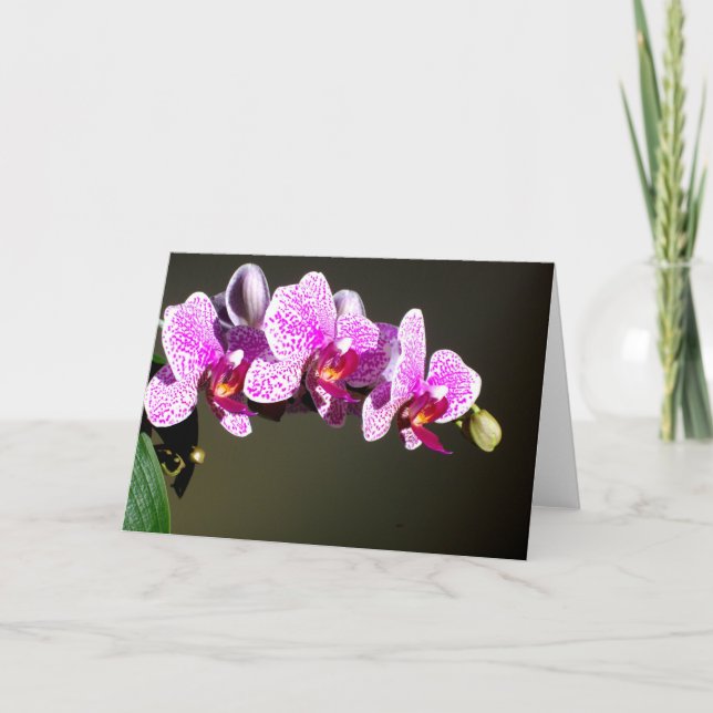 Carte Orchidées roses (Devant)