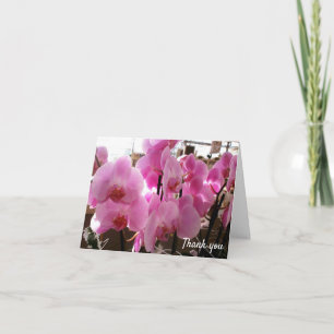 Carte Orchidées roses fleurs