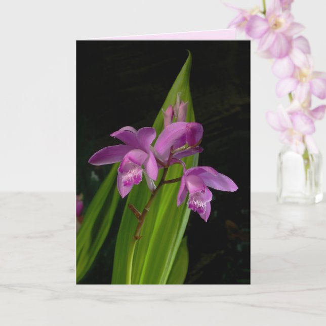 Carte Orchidées terrestres chinoises (Orchidée)