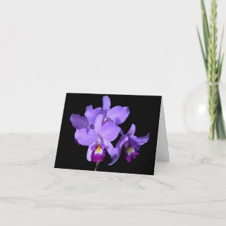 Carte Orchidées violettes pourpres d'aubergine saluant