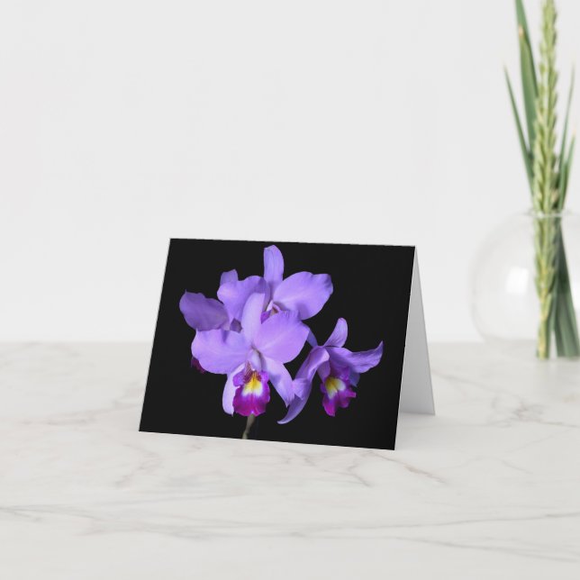 Carte Orchidées violettes pourpres d'aubergine saluant (Devant)