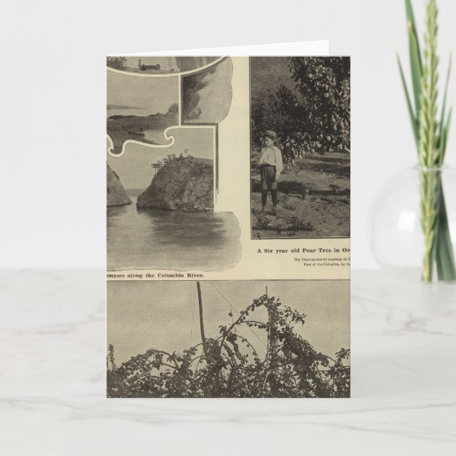 Carte Oregon, où chaque perspective plaira (Devant)