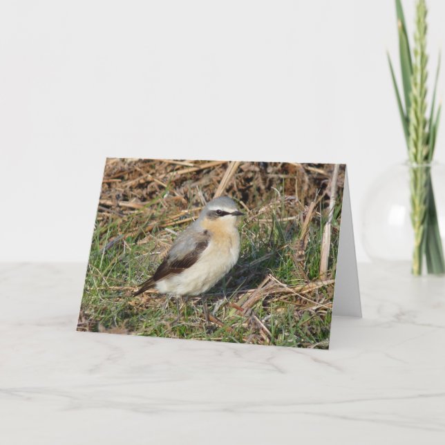 Carte "Oreille" (Devant)