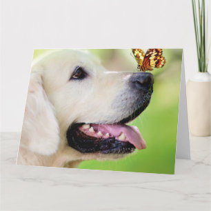 Carte Oreiller À Lancer Du Labrador Et Du Papillon