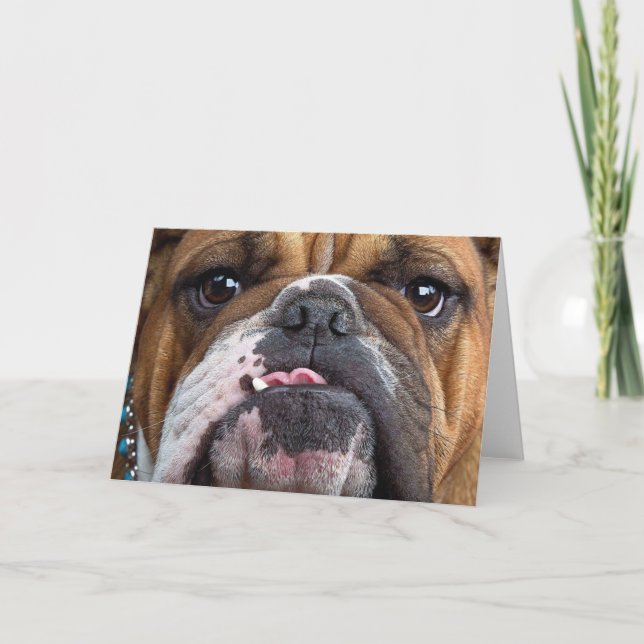 Carte Oreillers à lancer de Bulldog anglais (Devant)