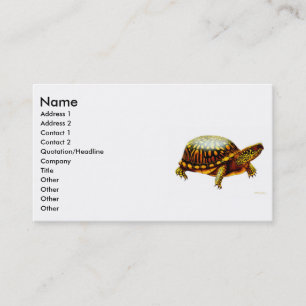 Carte orientale de profil de tortue de boîte