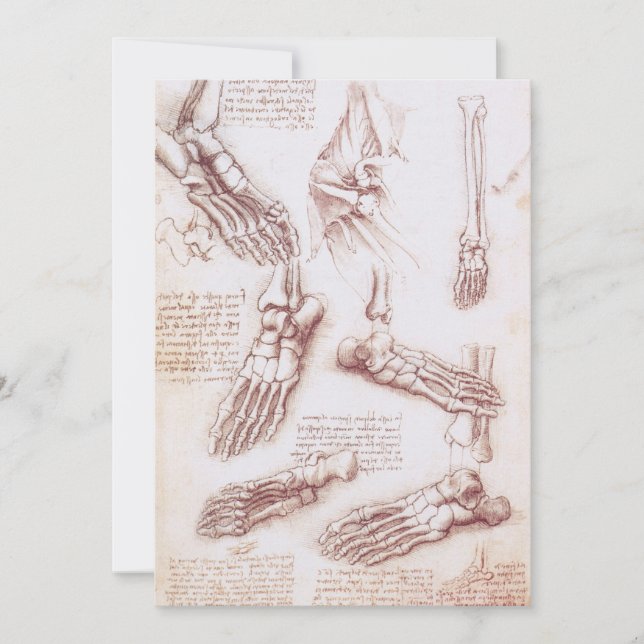 Carte Os des du pied selon l'anatomie humaine de Léonard (Devant)