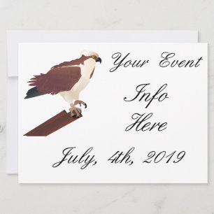 Carte Osprey Hawk Raptor Thunder_Cove