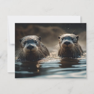 Carte Otter