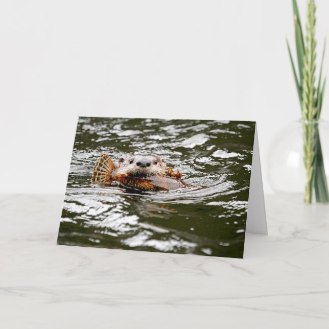 Carte Otter et poisson de rivière (Devant)