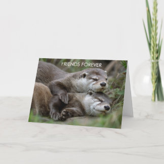 Carte Otter Friends Forever Friendship