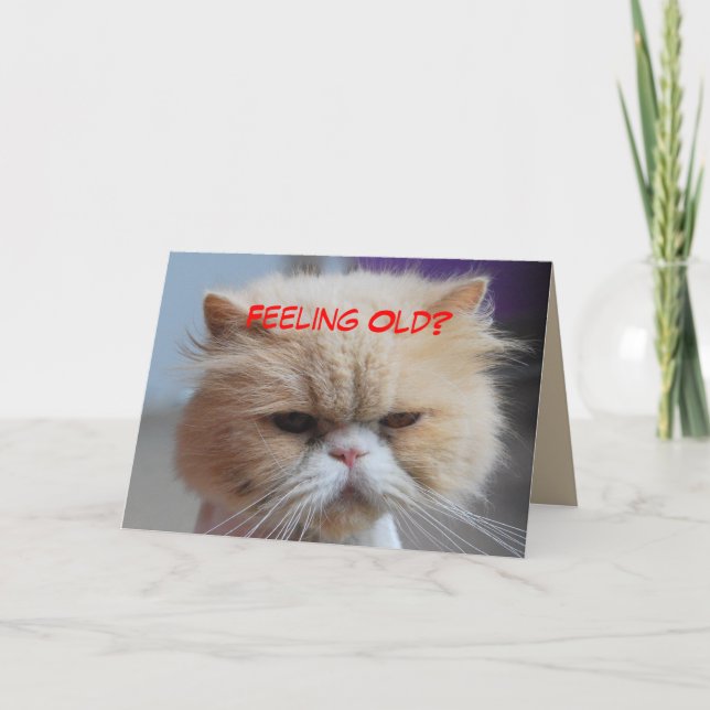 Carte Oubliez ça Humour de chat persan (Devant)