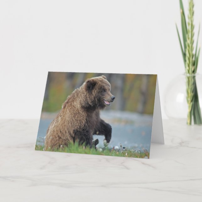 Carte Ours Brown d'Alaska chez Kenai NWR (Devant)