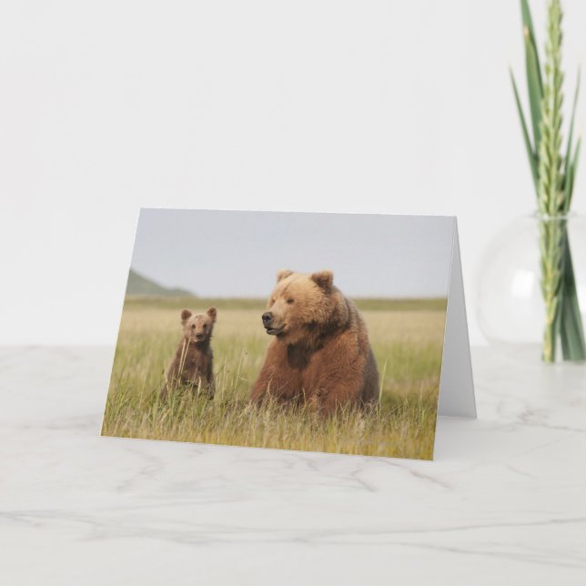 Carte Ours gris avec CUB (Devant)