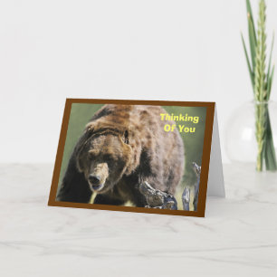 Carte Ours gris, encouragement militaire