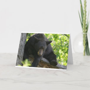 Carte ours noir