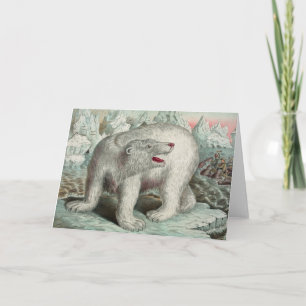 Carte Ours polaire vintage sur iceberg illustration hive