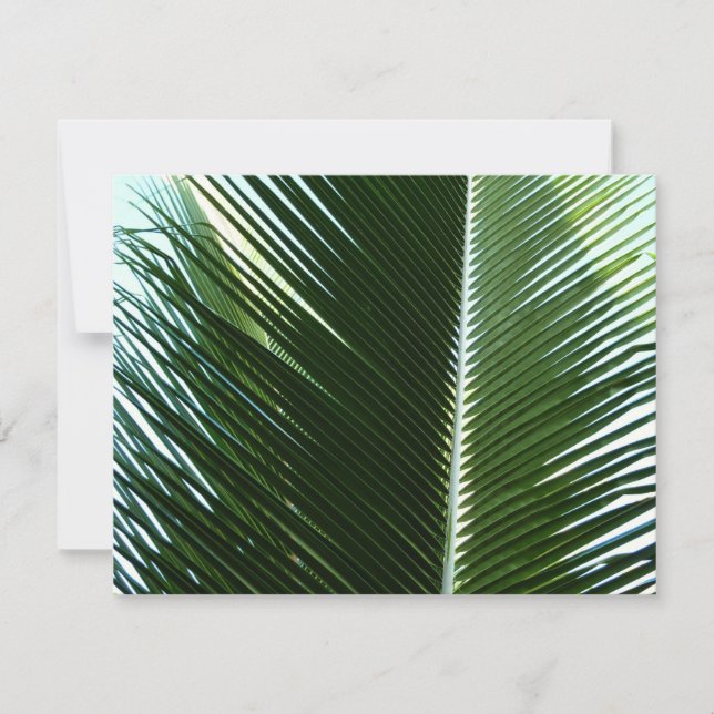 Carte Overlapping Palm Fronds Tropical Green Abstract (Devant)