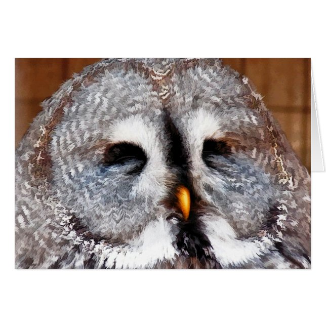 CARTE OWL (Devant horizontal)