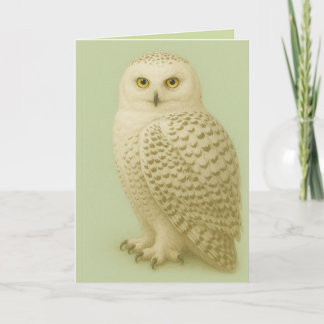 Carte "Owl be missing you" card.