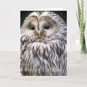 CARTE OWLS