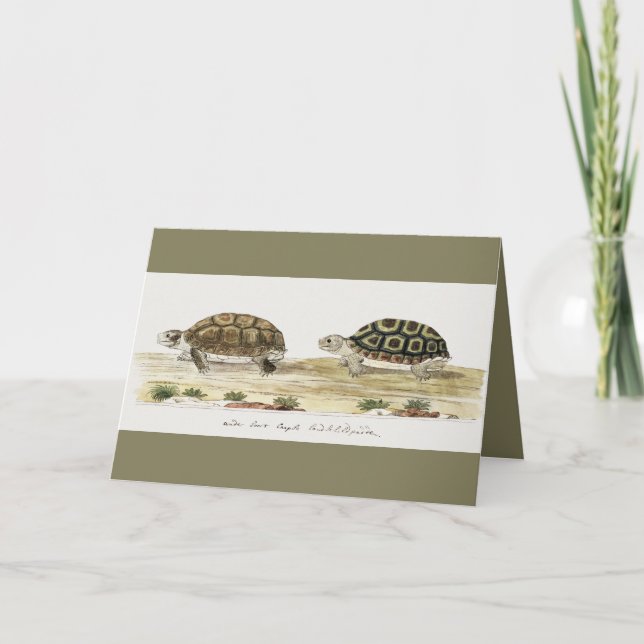 Carte Padloper Tortoise Post-it Notes (Devant)